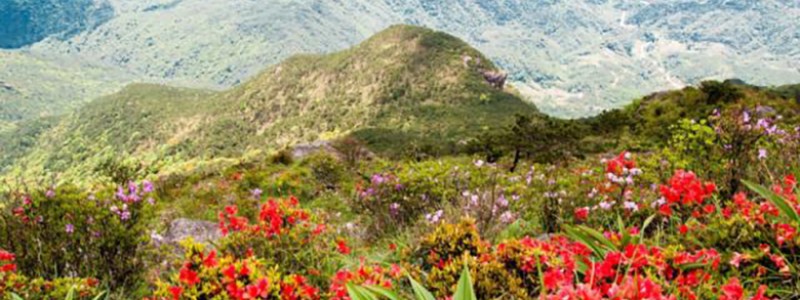 分类： <span>旅游</span>