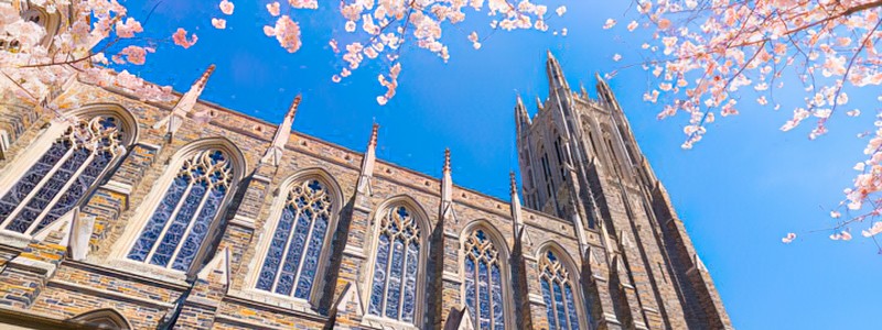 分类： <span>闽都大家</span>