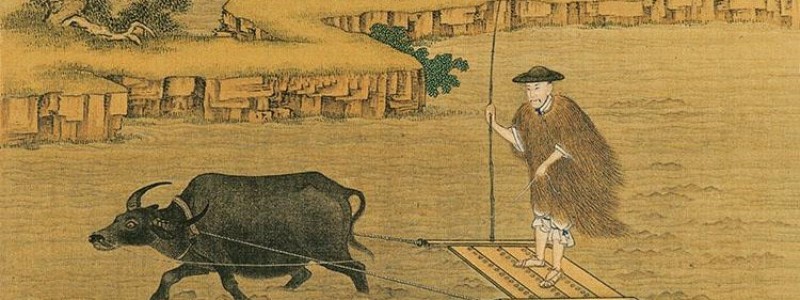 分类： <span>牛吃麦</span>