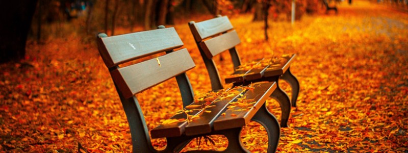 分类： <span>民间文学</span>