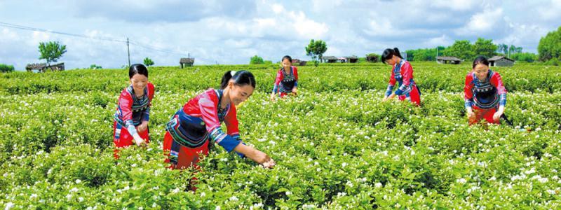 分类： <span>福州方言</span>