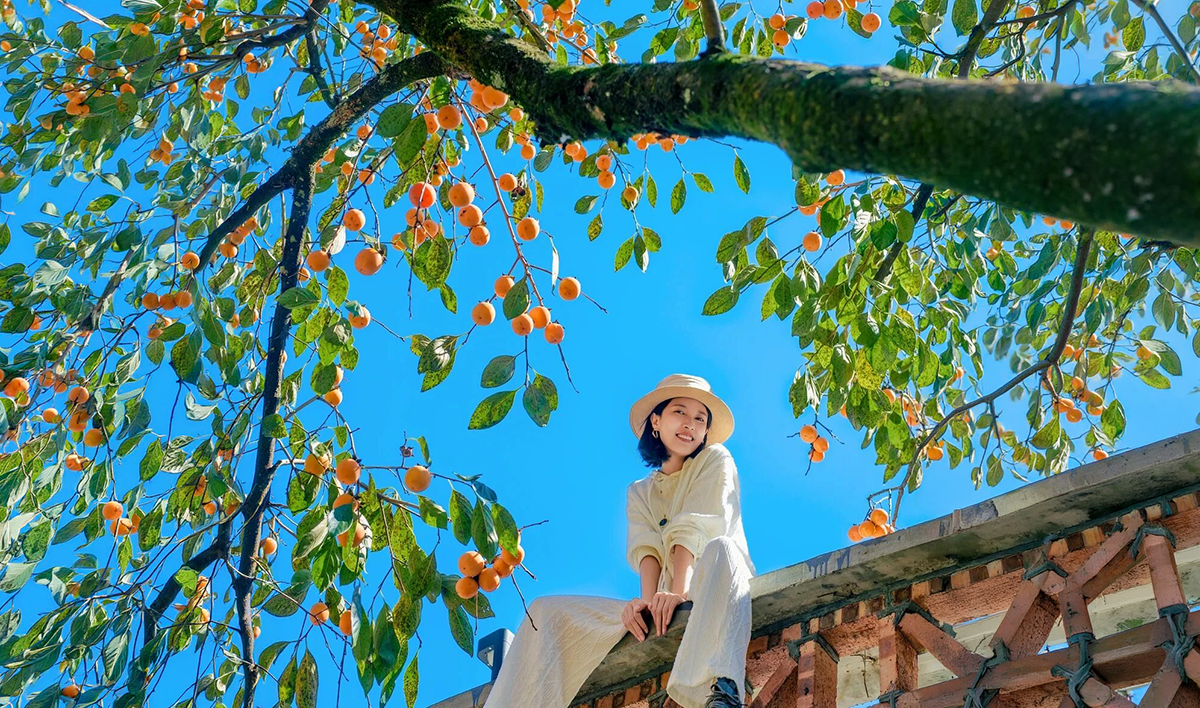 赴一场秋天的盛宴